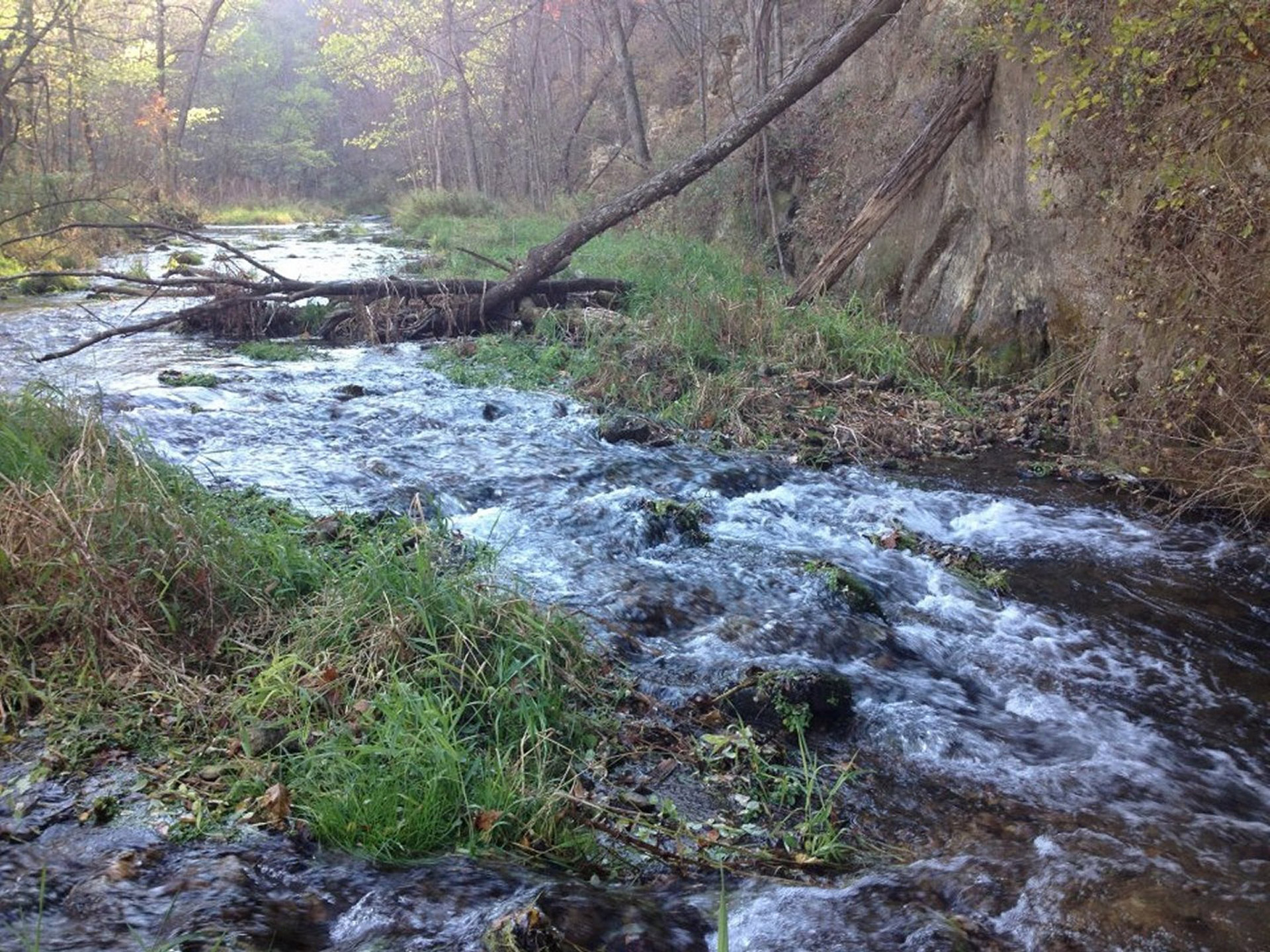 Srautas,  Slenksčiai,  Vaizdingas,  Kraštovaizdis,  Bebras & Nbsp,  Upelio Slėnis,  Upelis Ir Slenksčiai, Nemokamos Nuotraukos,  Nemokama Licenzija