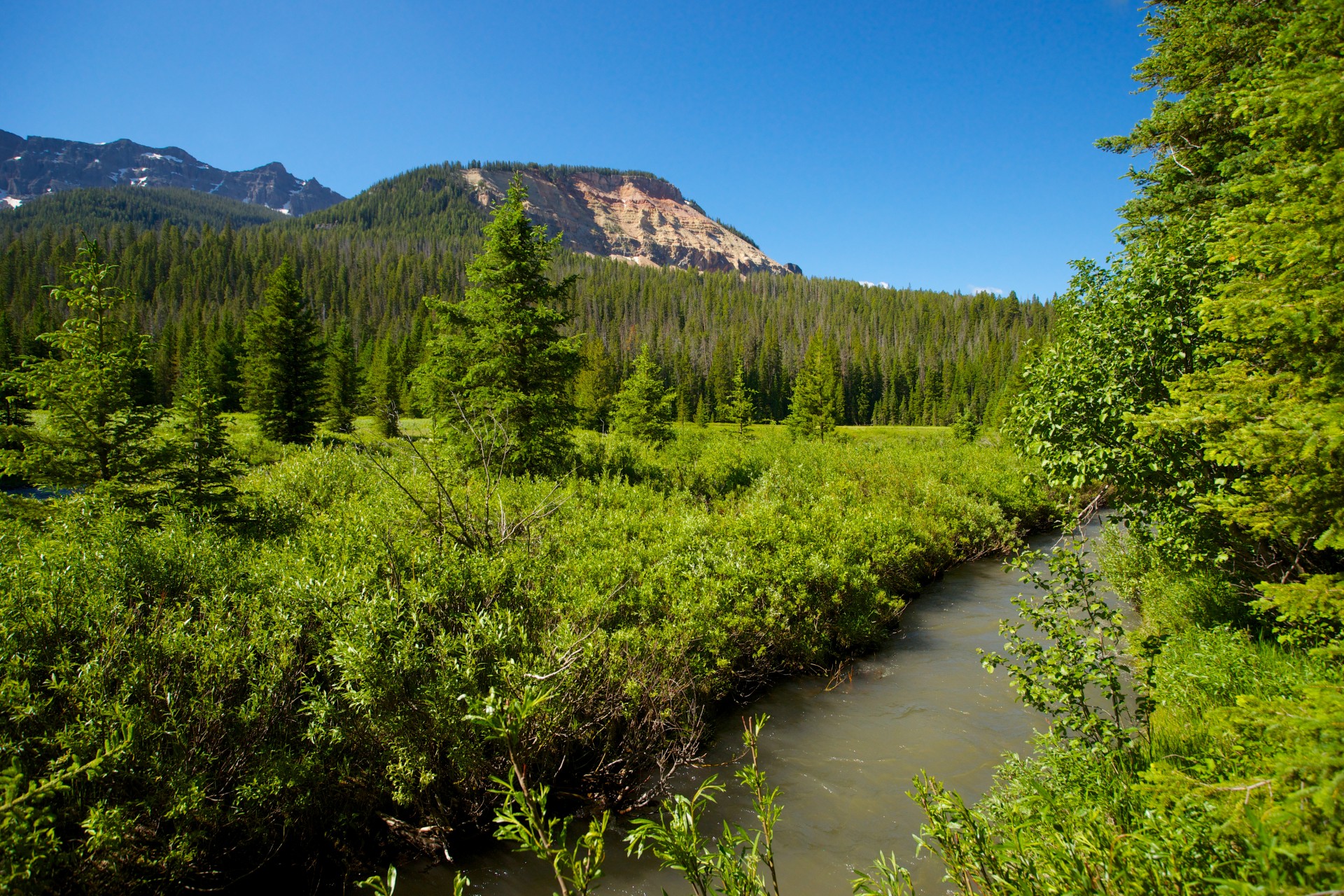 Nature is wild. Дикая природа. Резерваты дикой природы. Дикая Тайга. ИННОКО (национальный резерват дикой природы).