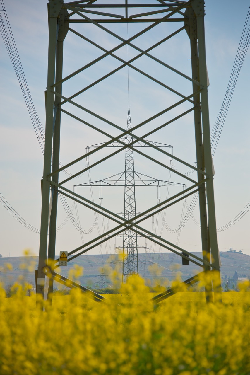 Strommast, Energija, Elektra, Aliejiniai Rapsai, Rapsų Sėklos, Geltona, Laukas, Kraštovaizdis, Dangus, Žiedas