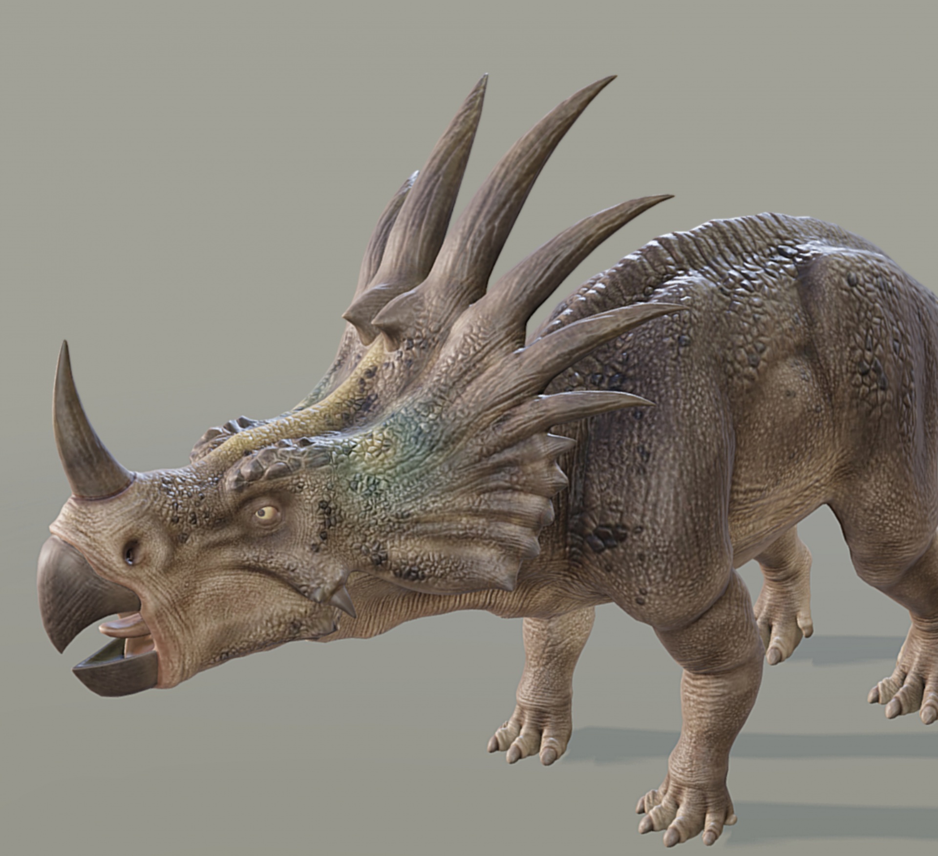 3D,  Piešimas,  Modelis,  Styracosaurus,  Pilka,  Skulptūra,  Izoliuotas,  Priešistorinis,  Eros,  Jurassic