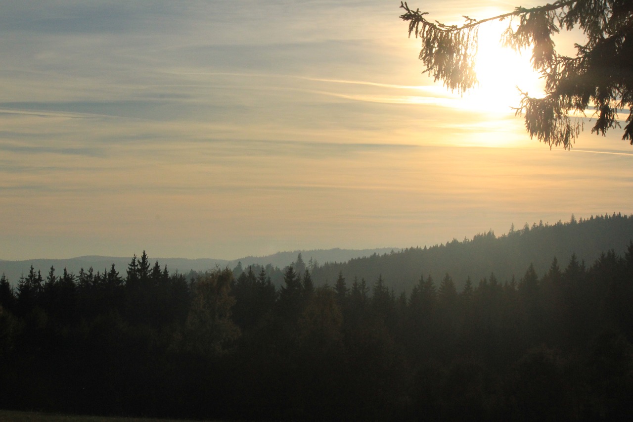 Šumava, Miškas, Kraštovaizdis, Čekijos Respublika, Medžiai, Rūkas, Nemokamos Nuotraukos,  Nemokama Licenzija