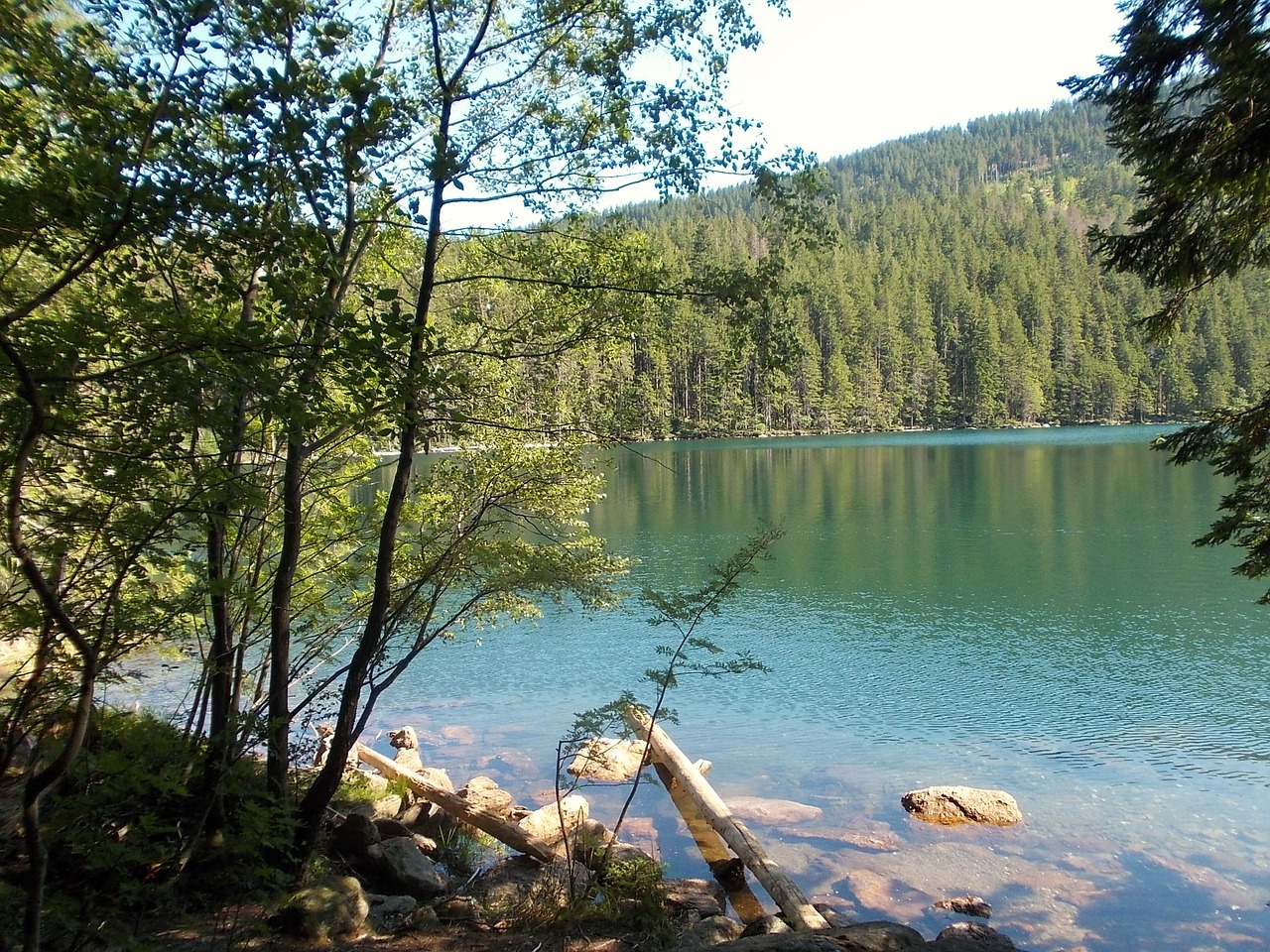 Šumava,  Juodas Ežeras,  Be Honoraro Mokesčio, Nemokamos Nuotraukos,  Nemokama Licenzija