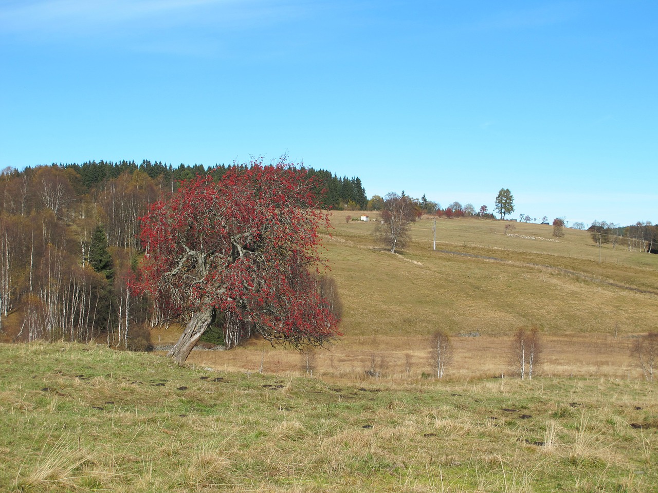 Šumava, Kranas, Vaizdas, Kraštovaizdis, Ruduo, Nemokamos Nuotraukos,  Nemokama Licenzija