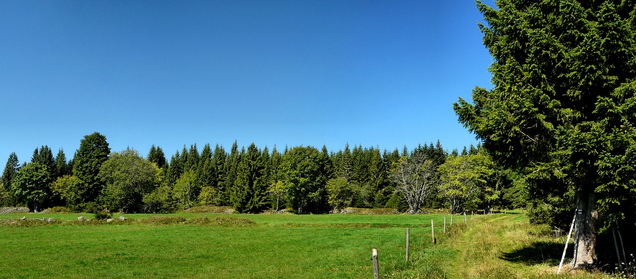 Šumava, Taika, Turizmas, Kraštovaizdis, Nemokamos Nuotraukos,  Nemokama Licenzija