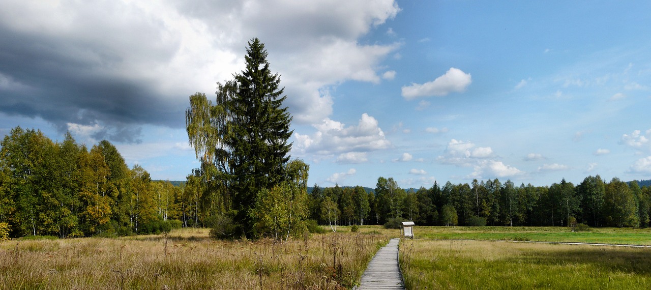 Šumava, Kraštovaizdis, Taika, Turizmas, Nemokamos Nuotraukos,  Nemokama Licenzija