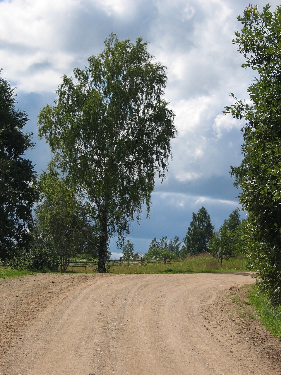 Vasara, Kelias, Medis, Nemokamos Nuotraukos,  Nemokama Licenzija