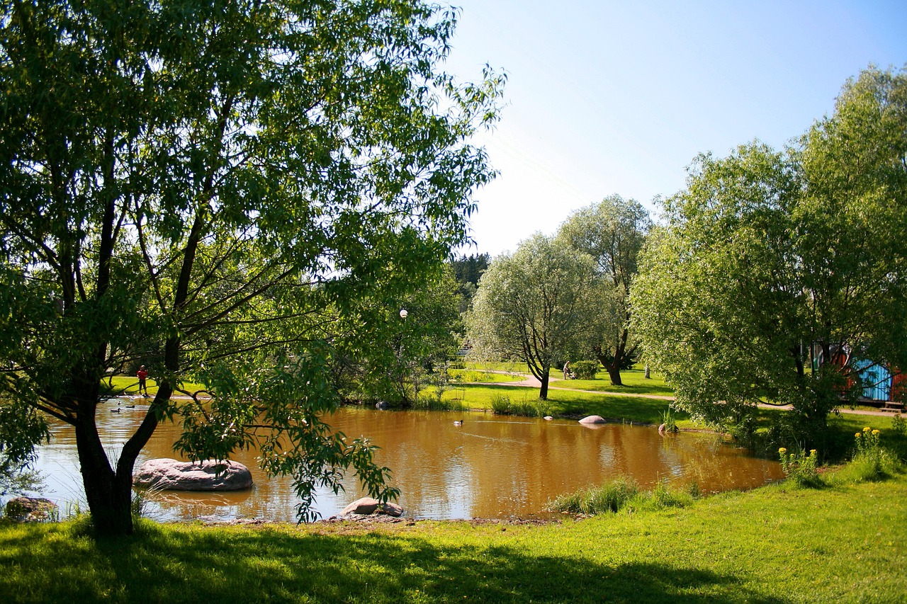 Vasara, Kraštovaizdis, Parkas, Tvenkinys, Saulės Šviesa, Vasaros Diena, Nemokamos Nuotraukos,  Nemokama Licenzija