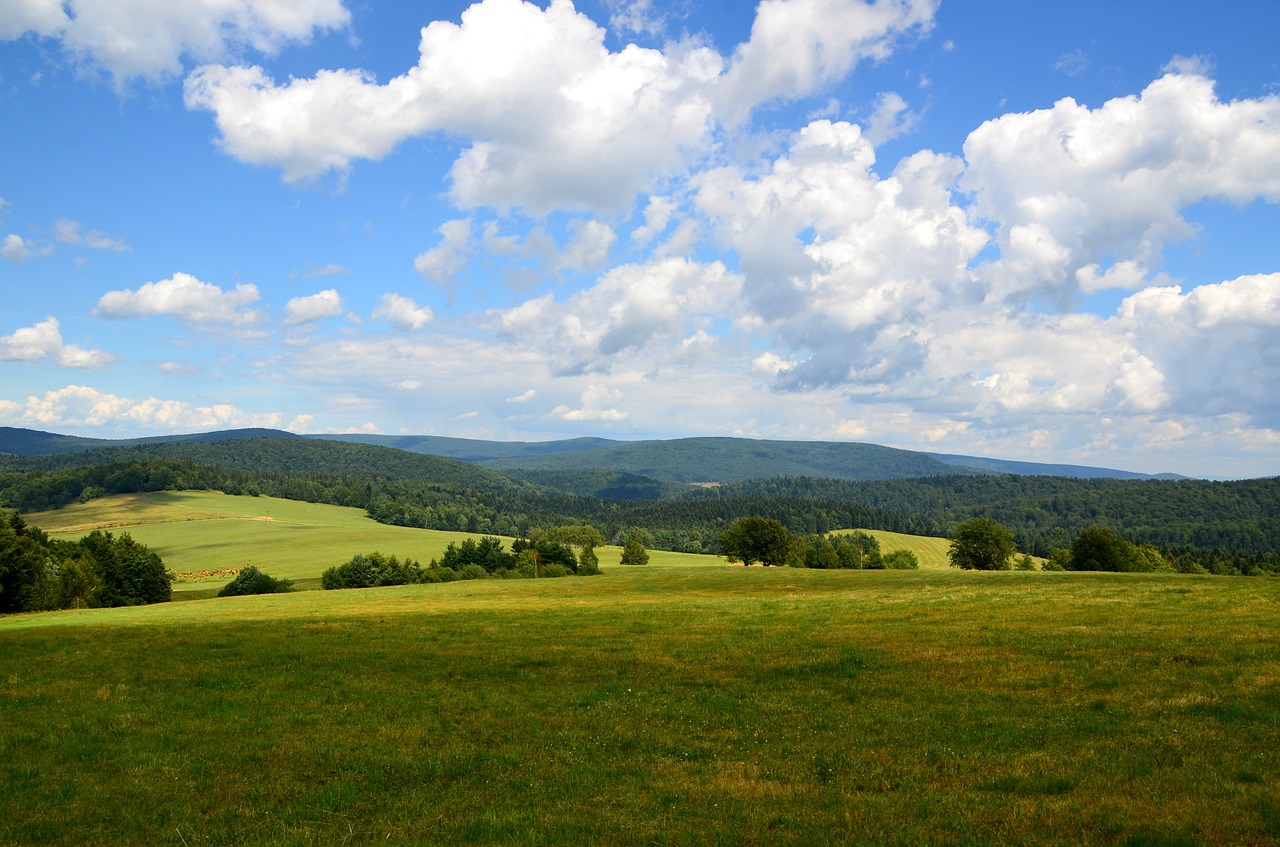 Vasara, Panorama, Kalnai, Pakilimas, Kraštovaizdis, Lenkija, Gamta, Vaizdas, Beskid, Dangus