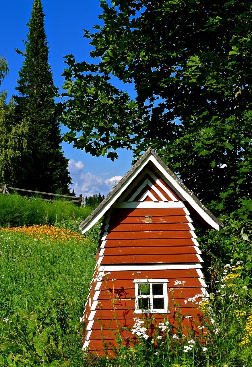 Vasara, Finland, Skandinavija, Kelionė, Europa, Gamta, Kraštovaizdis, Miškas, Lauke, Turizmas