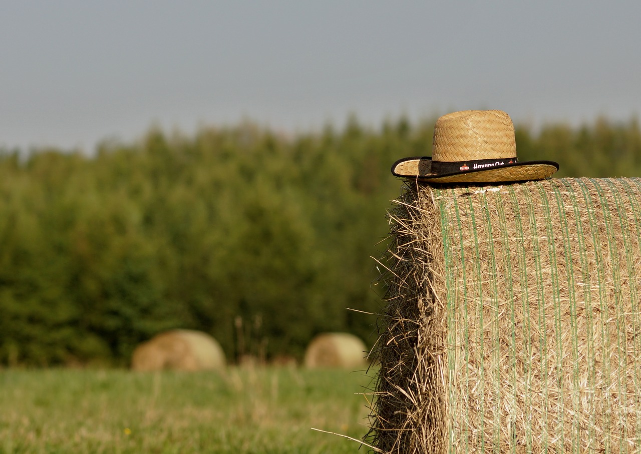 Vasara, Šiaudai, Šiaudų Ruoša, Laukas, Skrybėlę, Nemokamos Nuotraukos,  Nemokama Licenzija