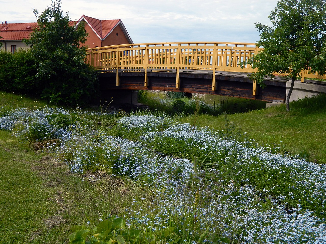 Vasara, Tiltas, Gėlė, Žolė, Medžiai, Krūmai, Namai, Suomių, Augalai, Nemokamos Nuotraukos