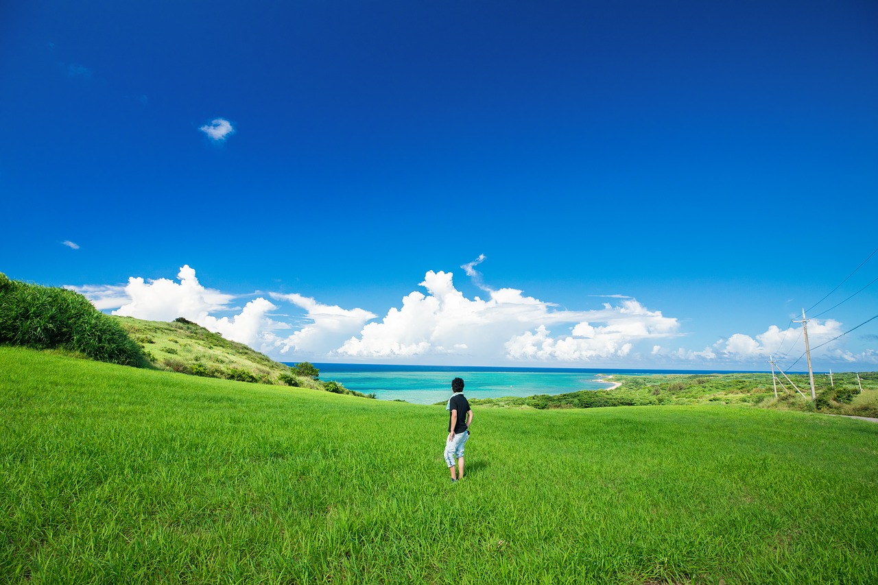 Vasara,  Vasaros Atostogos,  Dangus,  Jūra,  Okinawa,  Meadow,  Nuostabus Vaizdas,  Kelionė,  Motina Gamta,  Natūralus