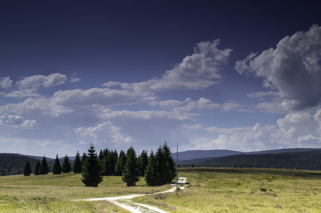 Vasara,  Šventės,  Debesys,  Būdas,  Meadow,  Dangus,  Kelionė,  Šventė,  Saulėtas, Nemokamos Nuotraukos