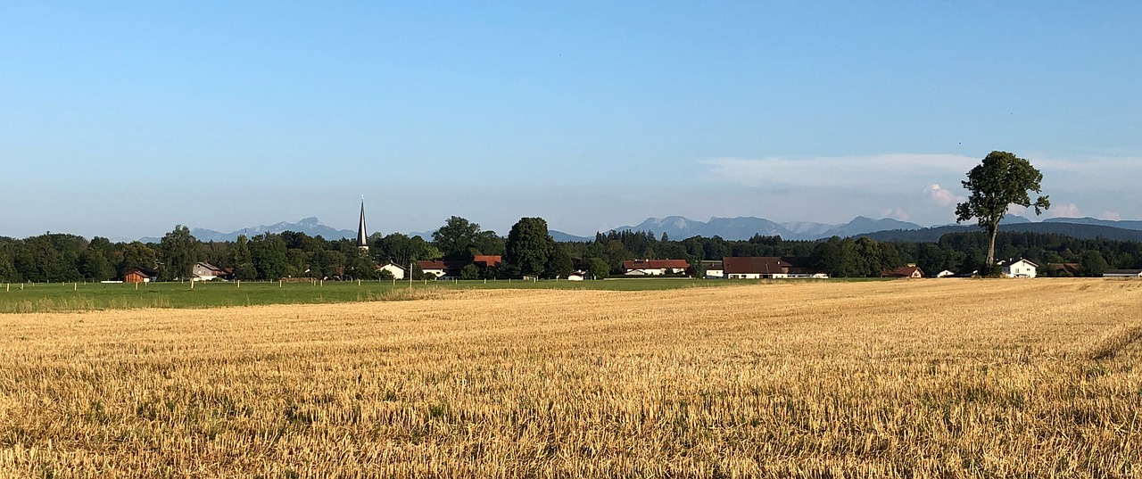 Vasara,  Laukas,  Pobūdį,  Kraštovaizdis,  Žemdirbystė,  Kaimo, Nemokamos Nuotraukos,  Nemokama Licenzija