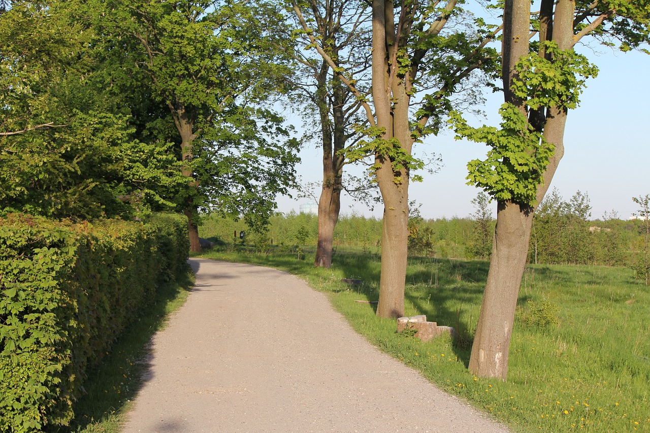 Vasara, Jaukus, Mažas Kelias, Išvykti Šalyje, Nemokamos Nuotraukos,  Nemokama Licenzija