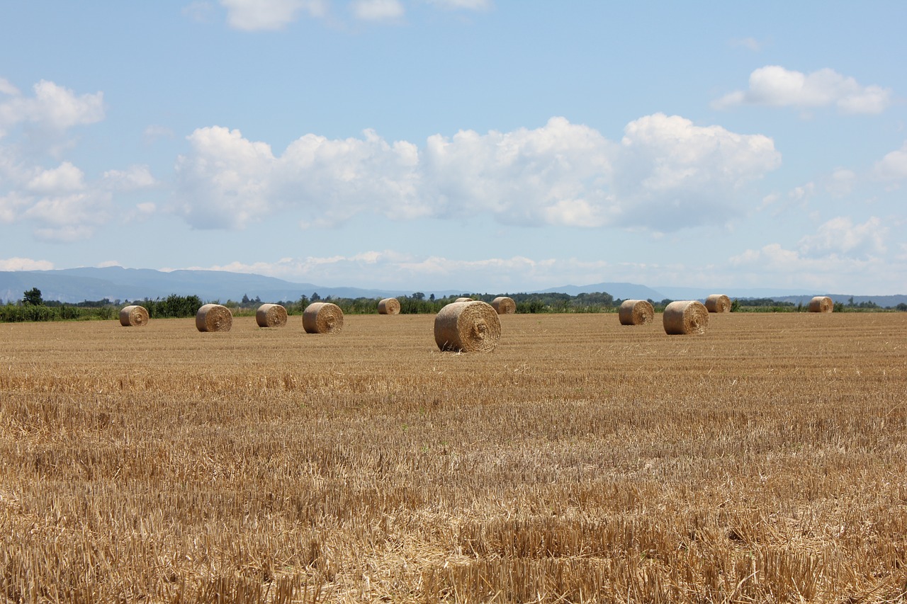 Vasara, Šienas, Peizažai, Haystacks, Laukai, Dangus, Žemdirbystė, Gamta, Kalnas, Alpės