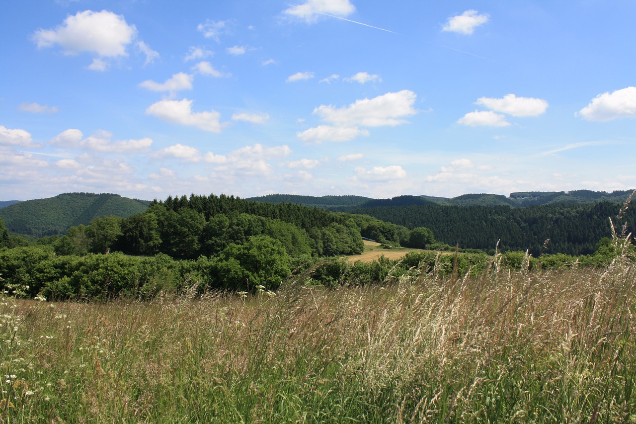 Vasara,  Kraštovaizdis,  Gamta, Nemokamos Nuotraukos,  Nemokama Licenzija