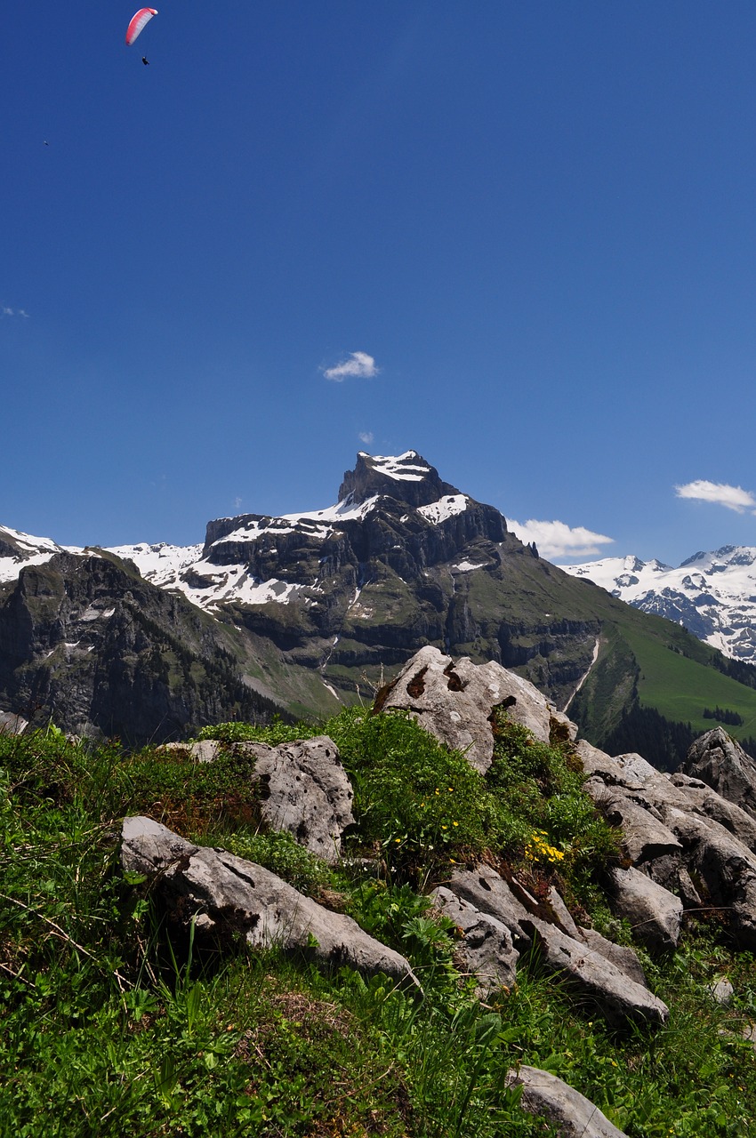 Aukščiausiojo Lygio Susitikimas, Šveicarija, Alpių, Kalnai, Vaizdas, Swiss Alps, Kalnų Viršūnė, Keliautojas, Rokas, Nemokamos Nuotraukos