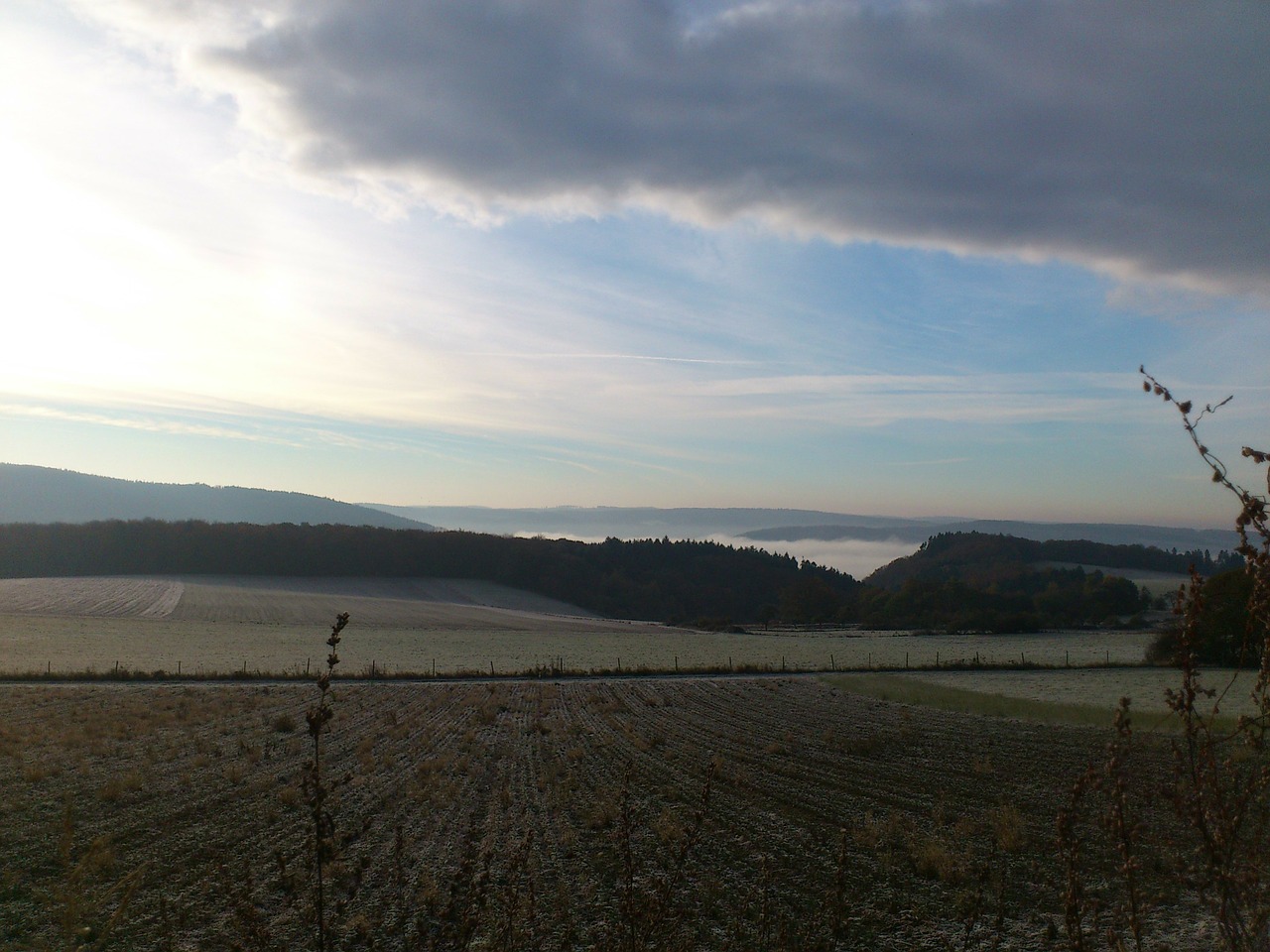 Saulė, Dangus, Grūdai, Laukas, Kraštovaizdis, Westerwald, Vokietija, Gamta, Miškas, Panorama