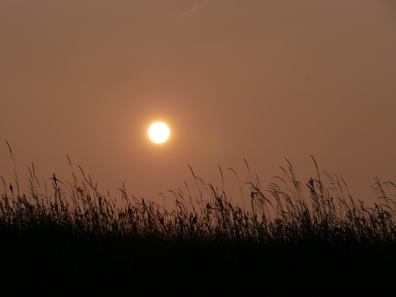 Saulė, Saulėlydis, Abendstimmung, Dangus, Besileidžianti Saulė, Vakarinis Dangus, Gamta, Afterglow, Dusk, Oranžinė