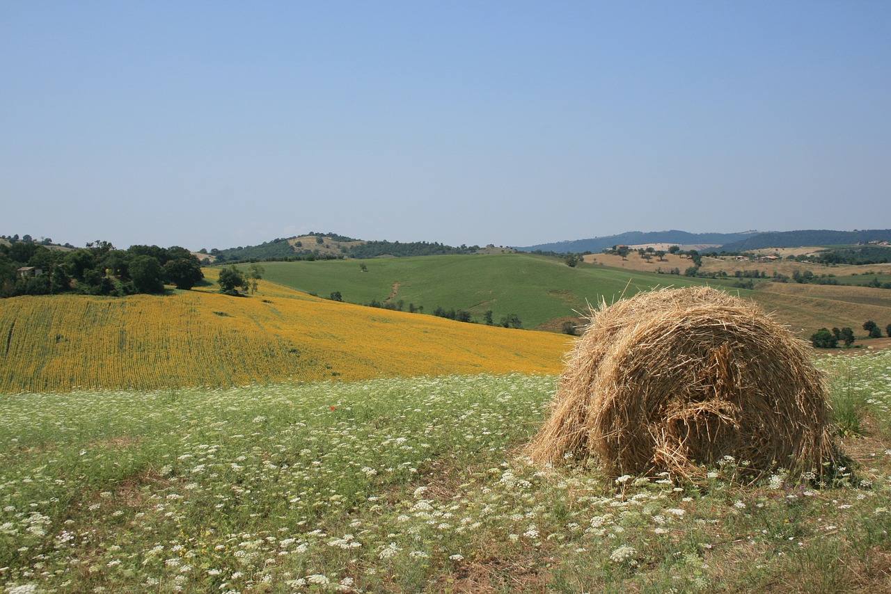 Saulė, Maremma, Geltona, Žalias, Vasara, Italy, Toskana, Kraštovaizdis, Dangus, Šventė