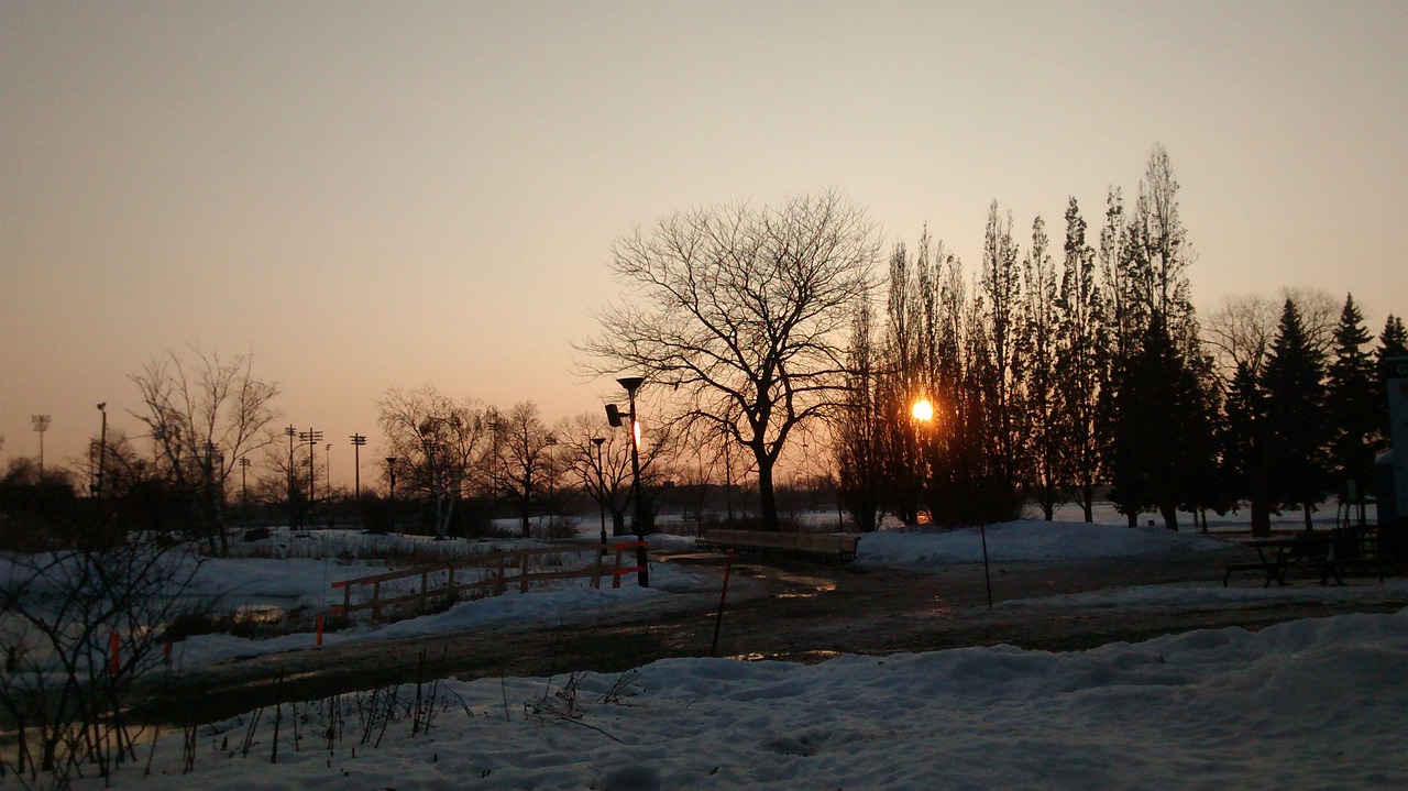 Saulė, Medis, Parkas, Gamta, Saulėtas, Šviesa, Scena, Dangus, Saulėlydis, Nemokamos Nuotraukos