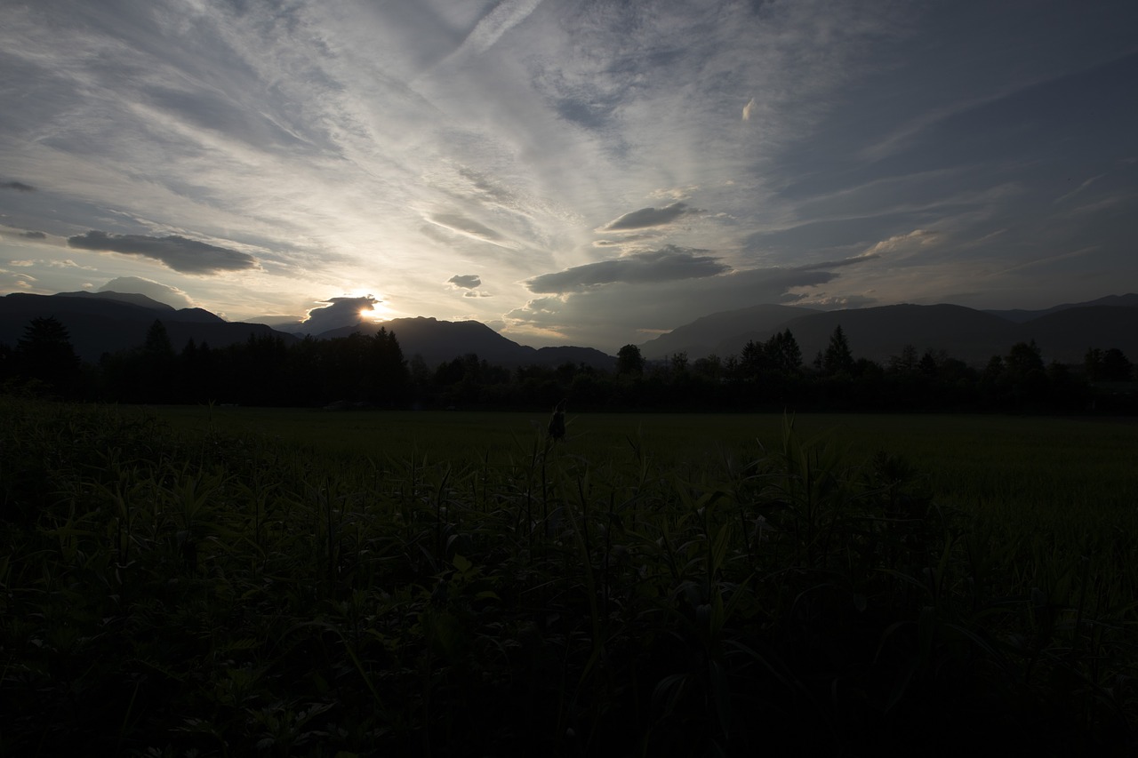 Saulė, Vakaras, Saulėlydis, Dangus, Abendstimmung, Kraštovaizdis, Vakarinis Dangus, Vakarinė Šviesa, Besileidžianti Saulė, Atgal Šviesa