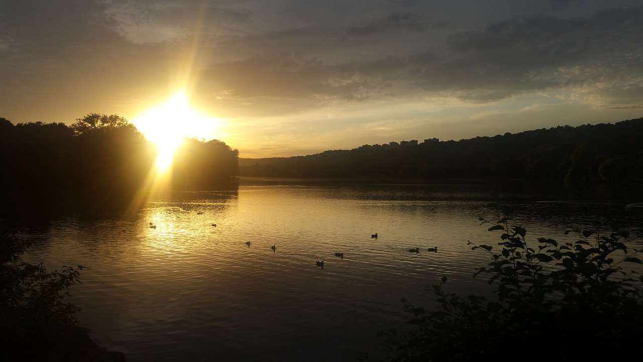 Saulė,  Saulėlydžio,  Ančių Paukščiai,  Kraštovaizdis,  Pobūdį,  Medis,  Vakare,  Dangus,  Vasara,  Twilight