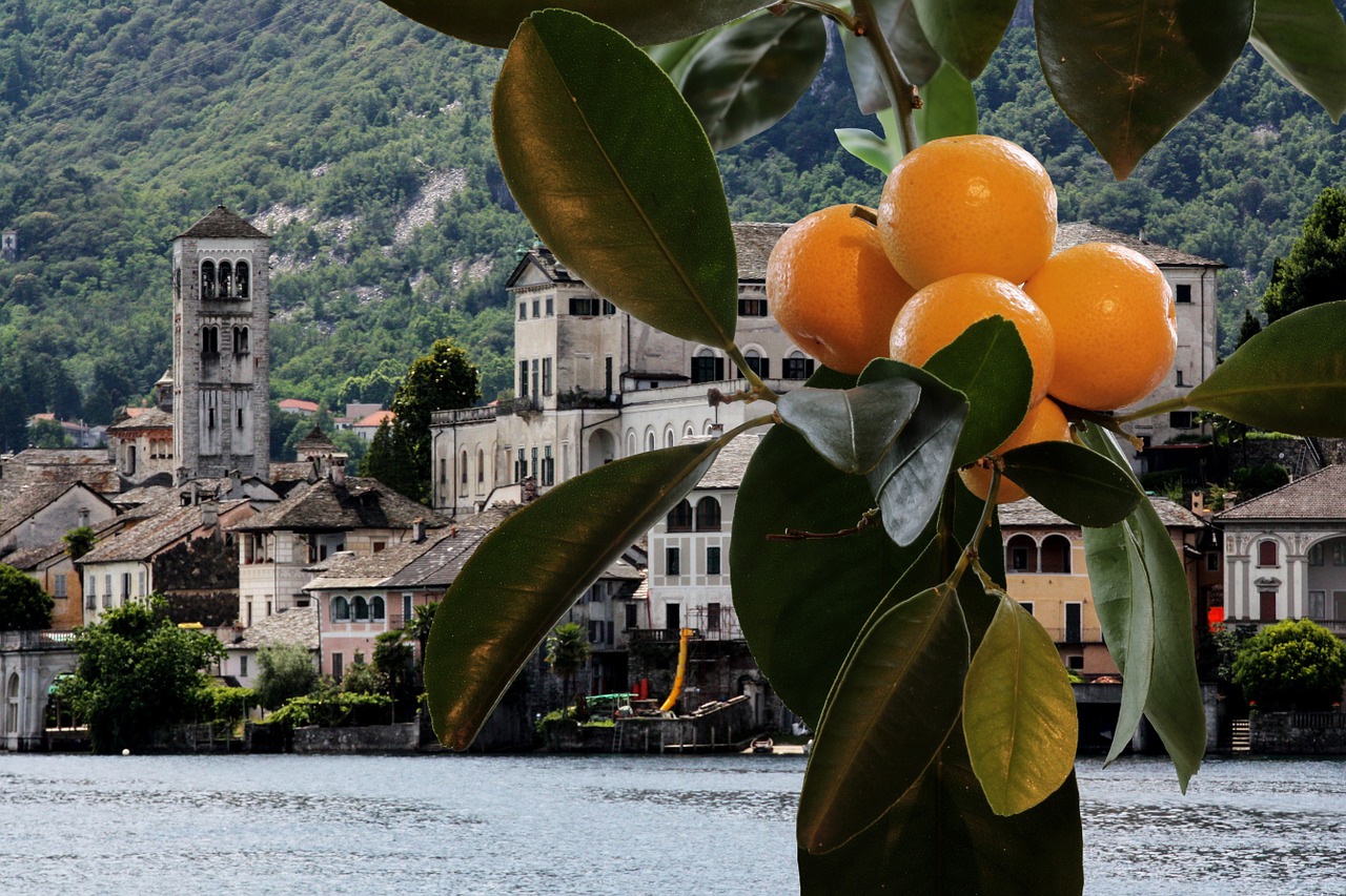 Saulė, Vaisiai, Mandarinai, Apelsinai, Lago Maggiore, Italy, Vaisiai, Lapai, Šviesus, Kraštovaizdis