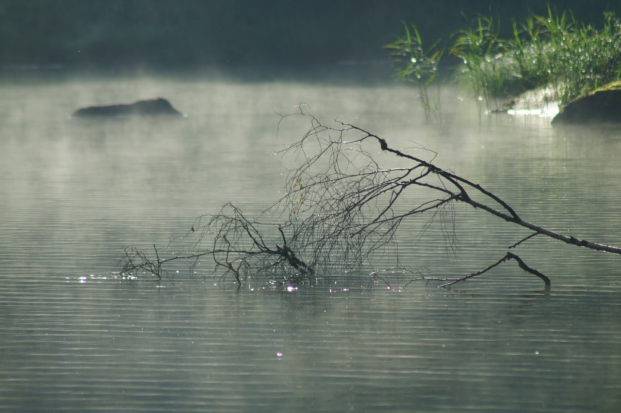 Saulės Šviesa, Atspindys, W, Banga, Vanduo, Gamta, Veidrodis, Nuotaika, Atmosfera, Vandens Paviršius