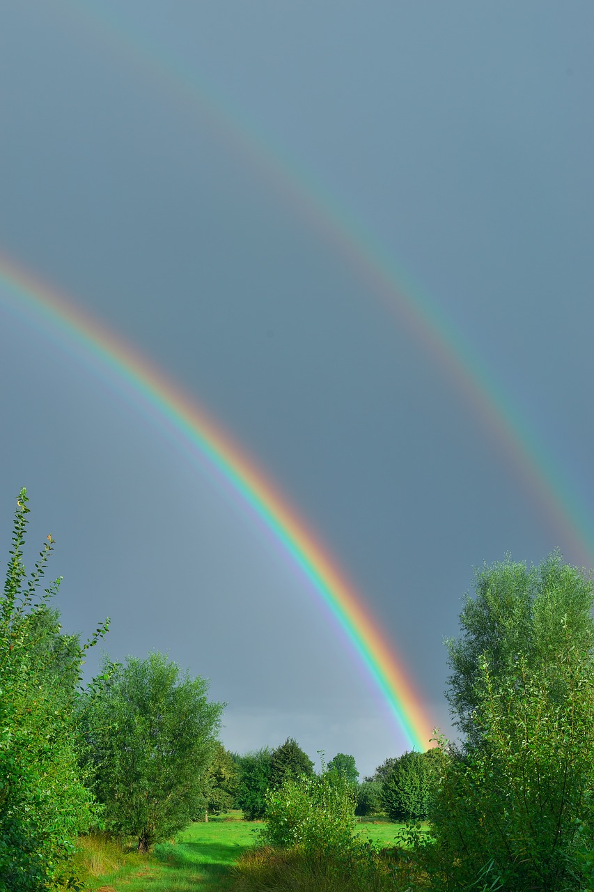 Saulėtekis, Vaivorykštė, Labas Rytas, Draugiškas, Dangus, Morgenstimmung, Romantiškas, Pieva, Gamta, Nuotaika