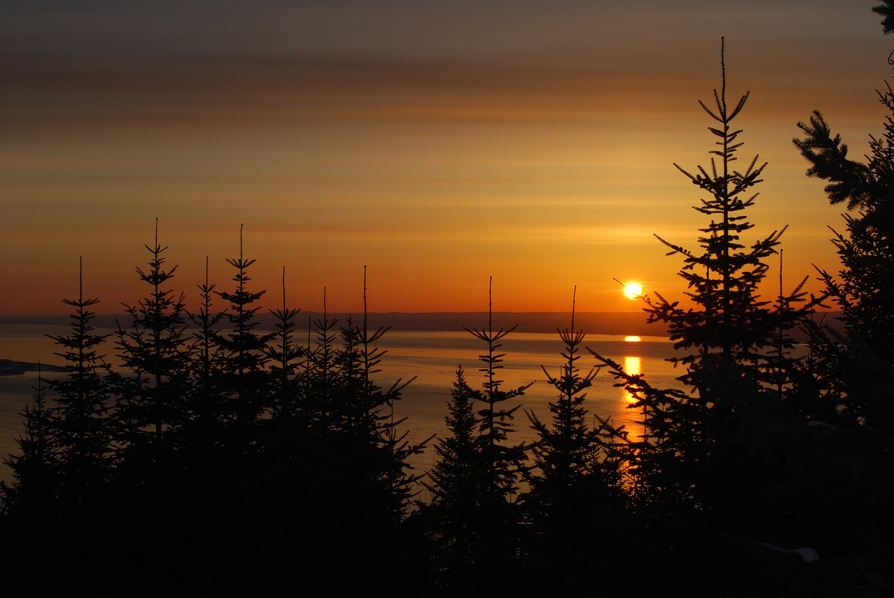 Saulėtekis, St Lawrence Upė, Borealinis Miškas, Nemokamos Nuotraukos,  Nemokama Licenzija