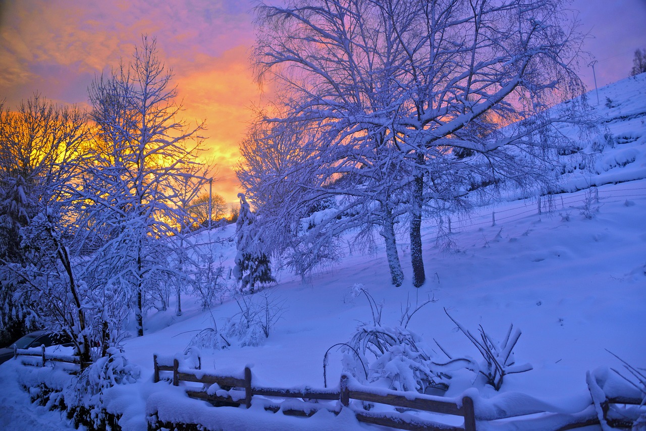 Saulėtekis, Sniegas, Kalnas, Gamta, Žiema, Vosges, Barjeras, Eglė, Kraštovaizdis, Žiemos Peizažas