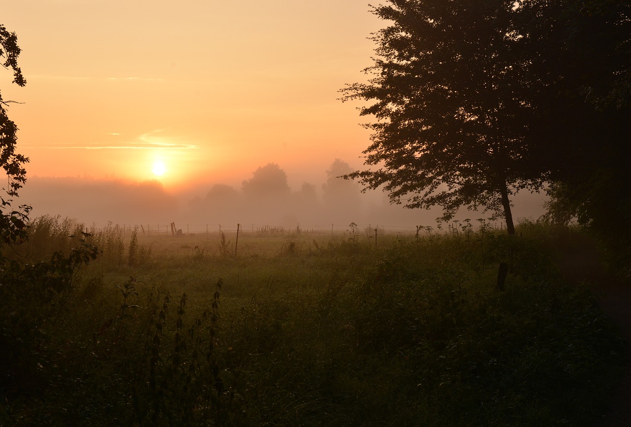 Saulėtekis, Morgenstimmung, Dangus, Nemokamos Nuotraukos,  Nemokama Licenzija