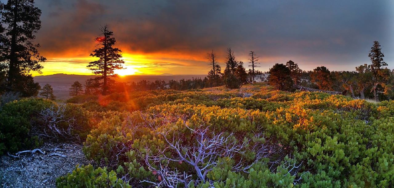 Saulėtekis, Vaizdingas, Kraštovaizdis, Šviesa, Saulė, Gamta, Lauke, Bryce Taškas, Bryce Canyon Nacionalinis Parkas, Utah