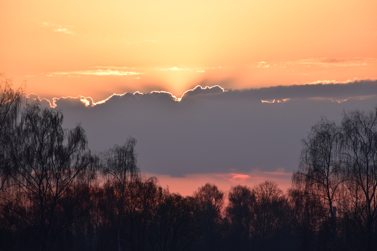 Saulėtekis, Šviesa, Saulė, Gamta, Dangus, Rytas, Kraštovaizdis, Morgenrot, Nuotaika, Morgenstimmung