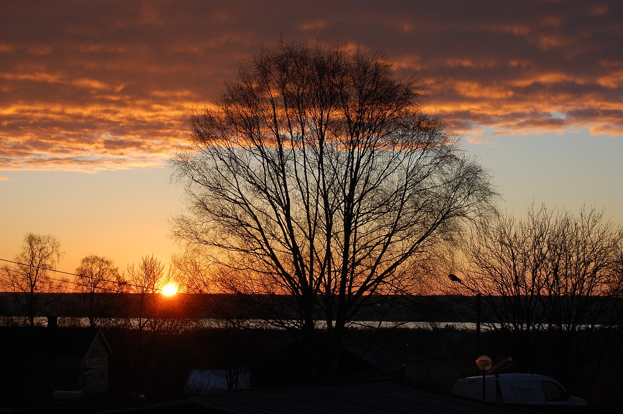 Saulėtekis, Vårbjörk, Himmel, Nemokamos Nuotraukos,  Nemokama Licenzija