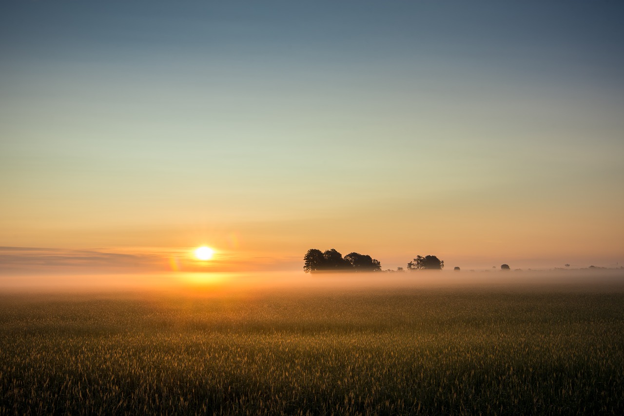 Saulėtekis, Rūkas, Rūko Bankas, Kraštovaizdis, Gamta, Morgenstimmung, Saulė, Ryto Saulė, Miglotas, Atgal Šviesa