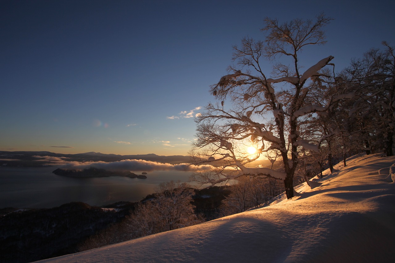 Sunrise,  Sniegas,  Kalnų,  Rytą,  Kraštovaizdis,  Dangus,  Vaizdingas,  Šviesos,  Medis,  Scena