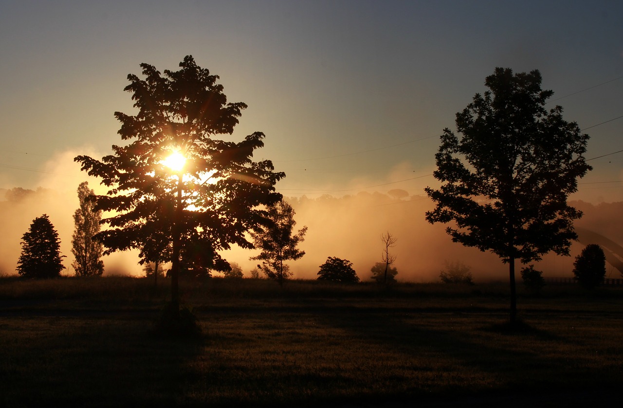 Sunrise,  Migla,  Medis,  Raudona,  Kraštovaizdis,  Pobūdį,  Rytas, Nemokamos Nuotraukos,  Nemokama Licenzija