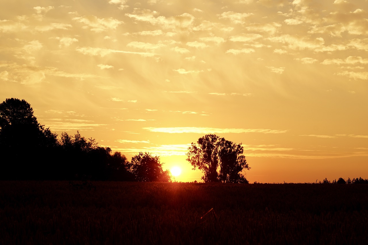 Sunrise,  Dawn,  Kraštovaizdis,  Panorama,  Saulė,  Medis, Nemokamos Nuotraukos,  Nemokama Licenzija