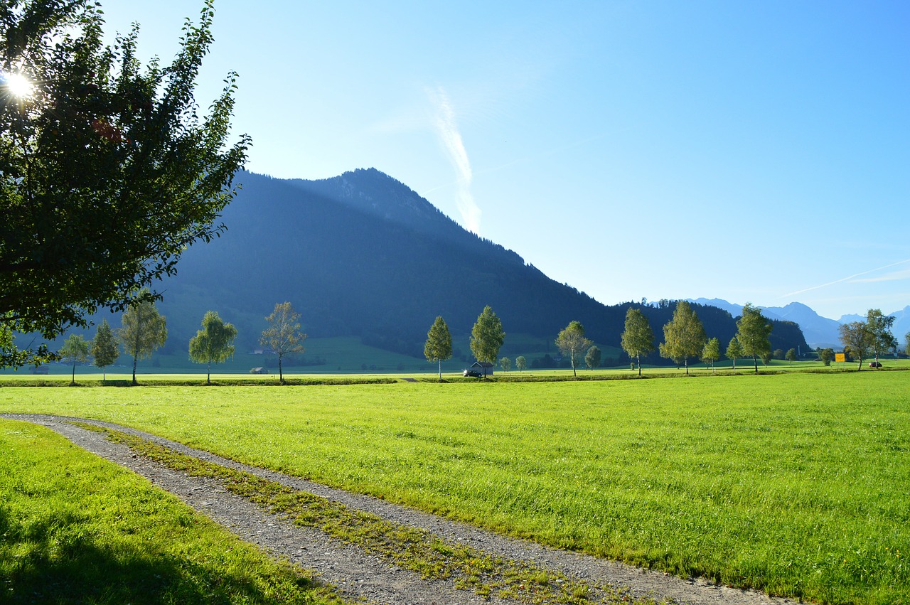 Saulėtekis, Pieva, Žemdirbystė, Vasaros Pabaigoje, Rytas, Alpių, Allgäu, Nemokamos Nuotraukos,  Nemokama Licenzija