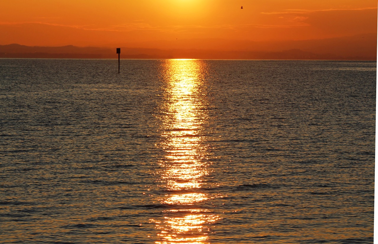 Saulėtekis,  Morgenstimmung,  Dangus,  Atgal Šviesa,  Veidrodis,  Ežeras,  Ežero Konstanta,  Romanshorn, Nemokamos Nuotraukos,  Nemokama Licenzija