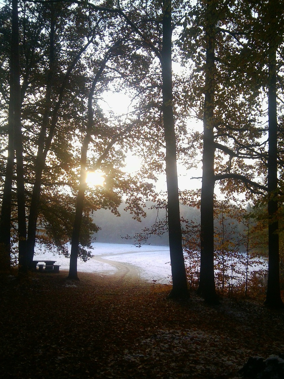 Saulėtekis, Morgenstimmung, Kraštovaizdis, Nemokamos Nuotraukos,  Nemokama Licenzija