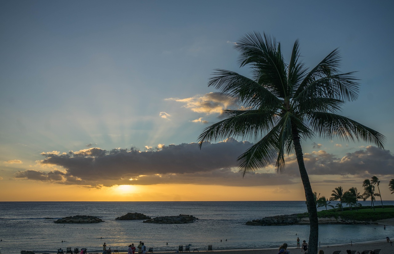 Saulėlydis, Hawaii, Oahu, Saulės Spinduliai Palmė, Dangus, Papludimys, Akmenys, Vandenynas, Hawaii Beach, Vasara