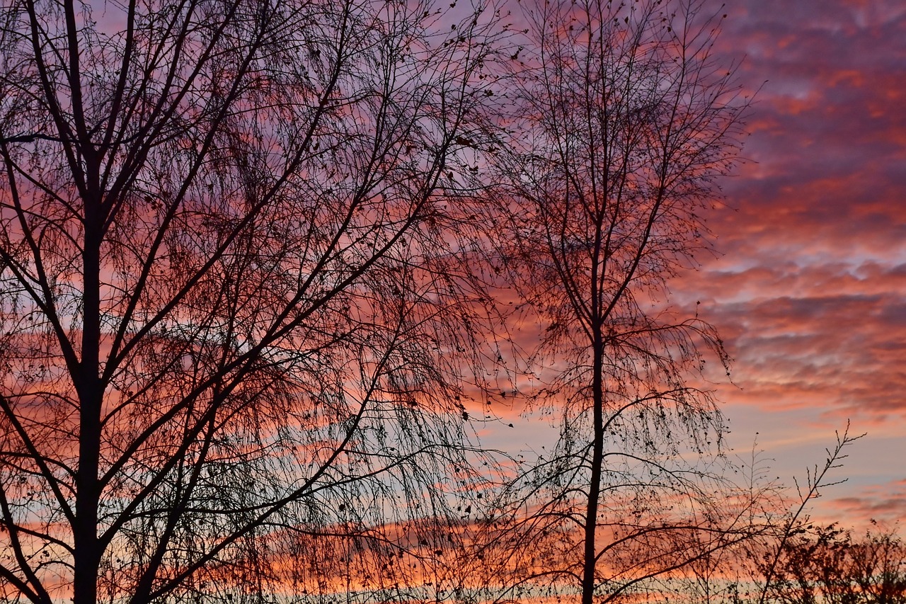 Saulėlydis, Vakarinis Dangus, Raudona, Afterglow, Abendstimmung, Atmosfera, Debesys, Dusk, Nemokamos Nuotraukos,  Nemokama Licenzija