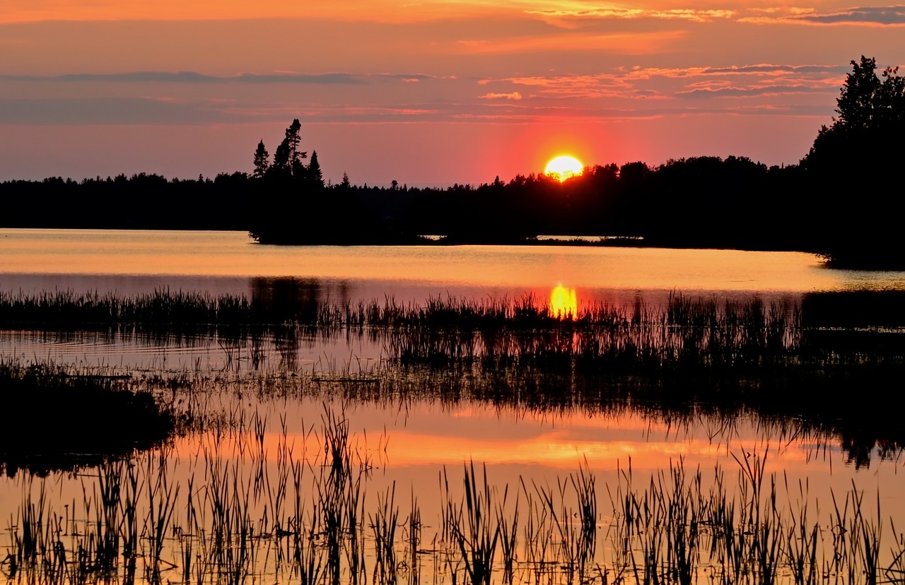 Saulėlydis, Kraštovaizdis, Twilight, Saulė, Gamta, Ežeras, Vasara, Spalvos, Medžiai, Dangus