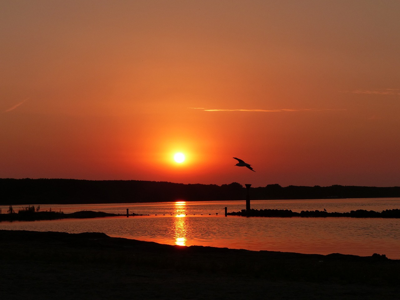 Saulėlydis, Papludimys, Kajakas, Vasara, Abendstimmung, Šiaurės Jūra, Holland, Šventė, Vanduo, Nemokamos Nuotraukos