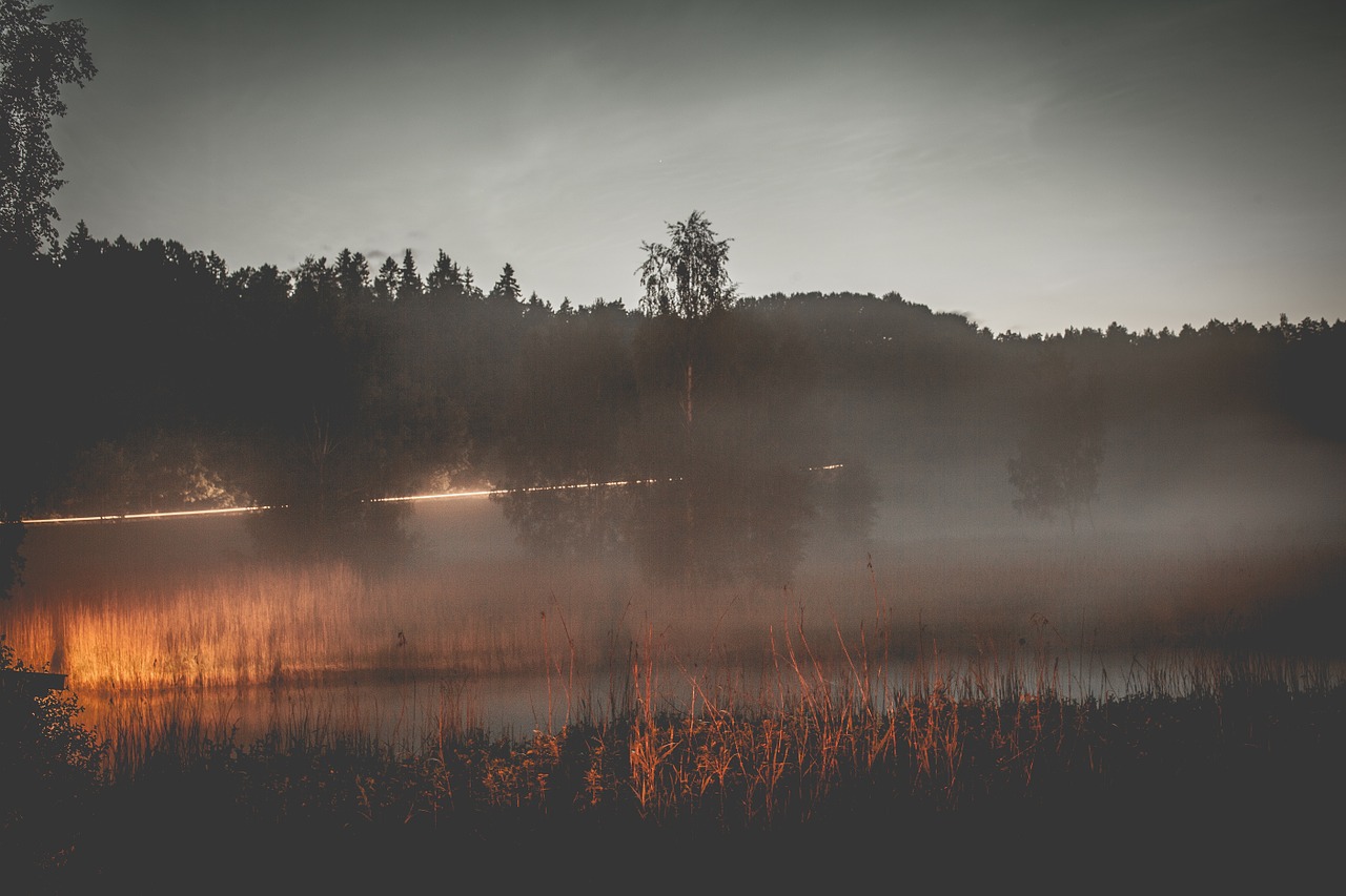 Saulėlydis, Ežeras, Medžiai, Miškas, Migla, Rūkas, Dusk, Nemokamos Nuotraukos,  Nemokama Licenzija