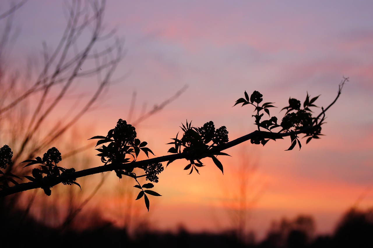 Saulėlydis, Afterglow, Vakarinis Dangus, Abendstimmung, Debesys, Vakaras, Dangus, Romantika, Dusk, Twilight